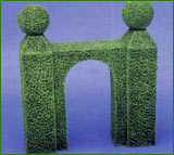 Large Topiary Hedge 