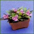 3592 Terracotta Pot Lilac Flowers