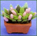 3620 Terracotta Pot and Pink Flowers
