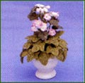3958 Outside Pot with Pink Flower 