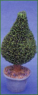 100mm High Small Topiary Tree in Pot