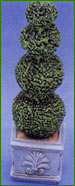 High Topiary Tree Four Balls in Pot