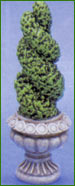 115mm High Half Topiary  Barley Sugar Twist Tree
