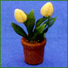5908 Yellow Tulips in Plant Pot