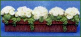 2934 Window Box with Cream Roses
