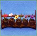 5857 Window Box, Five Flowers in Pots